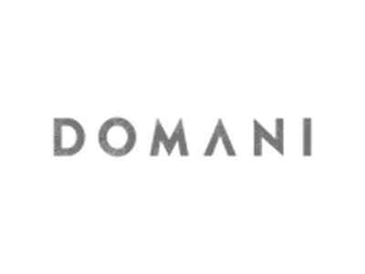 logo_Domani2