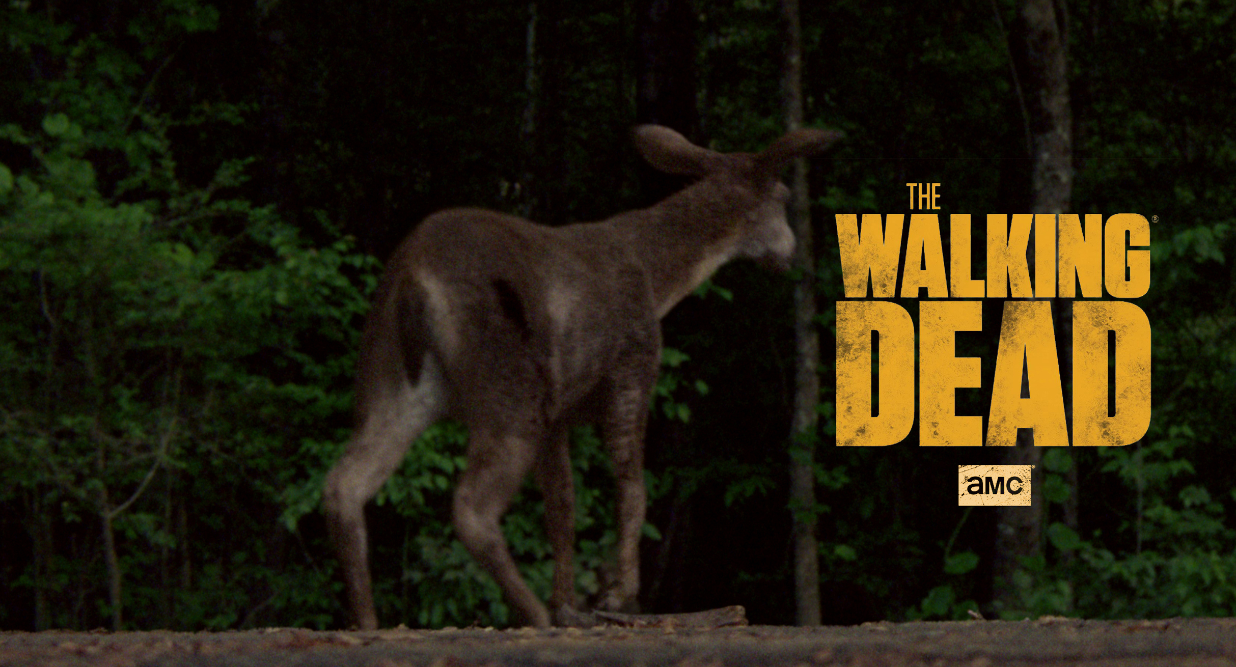 The Walking Dead (AMC) :: Season 10 / Episode 1